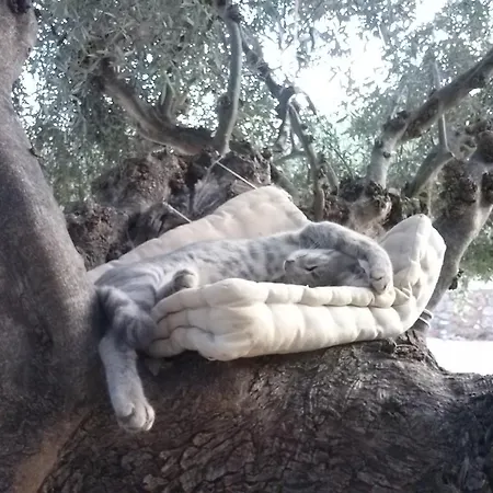 Kripia בית נופש *