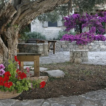 Tatil Evi Kripia